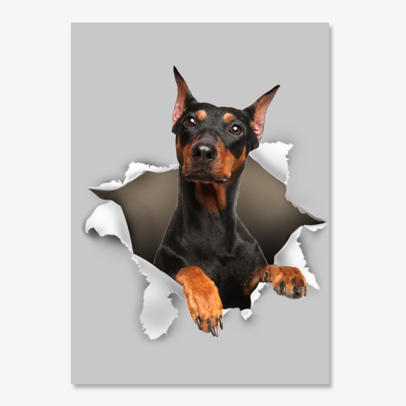German Pinscher Torn Paper