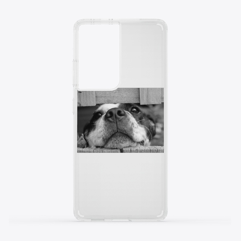 Lovely dog