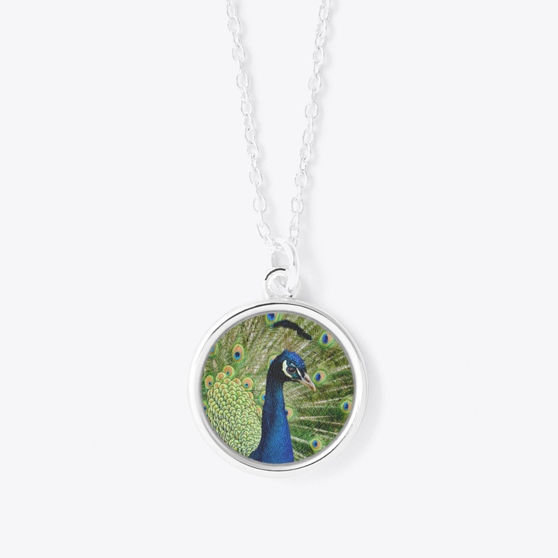 Peacock Feather Blue Green Bird Wildlife