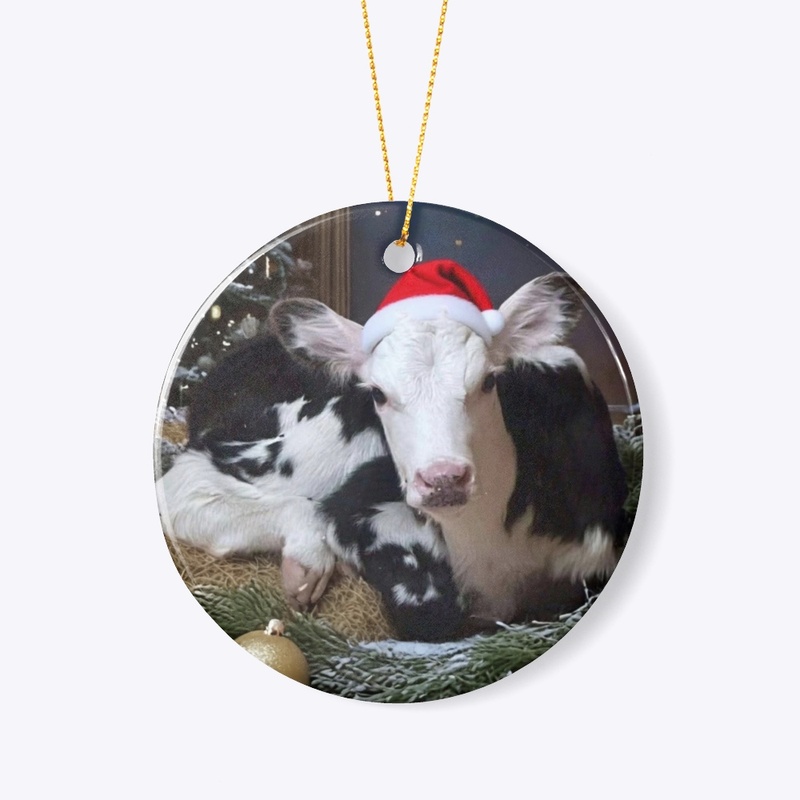 Happy holidays from Daisy!