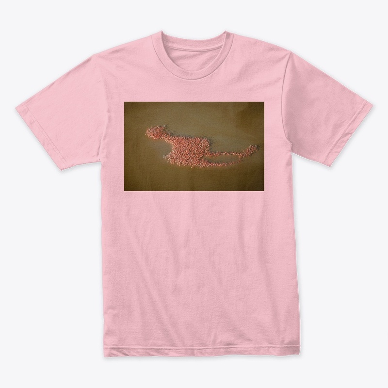 Flamingo Assemble T Shirt