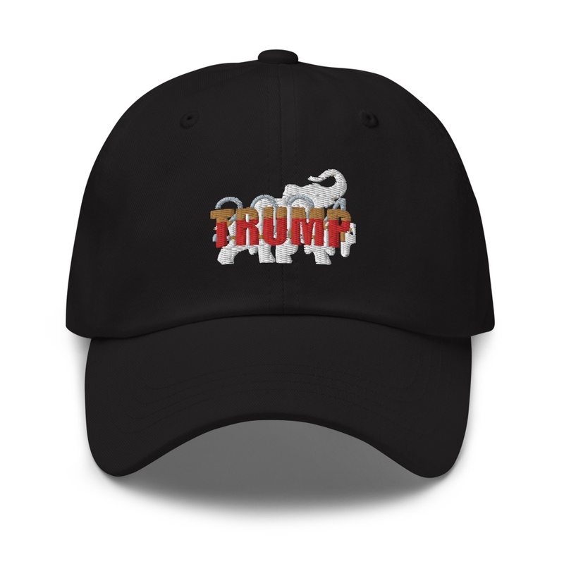 Trump2024-cap