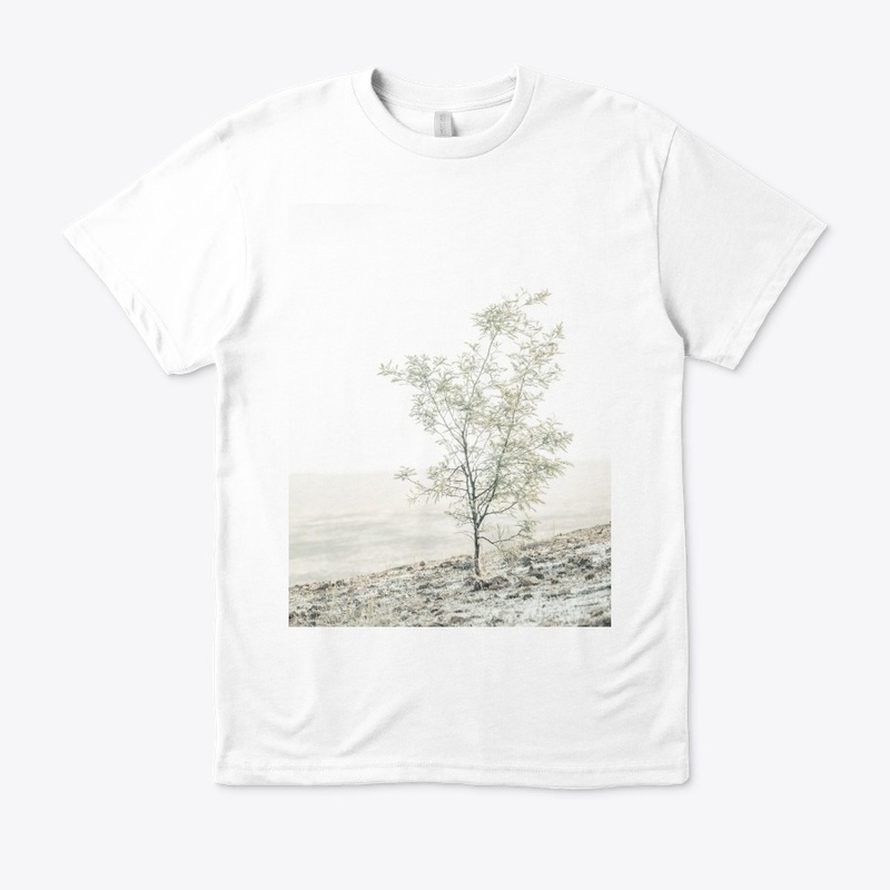 Wattle tree