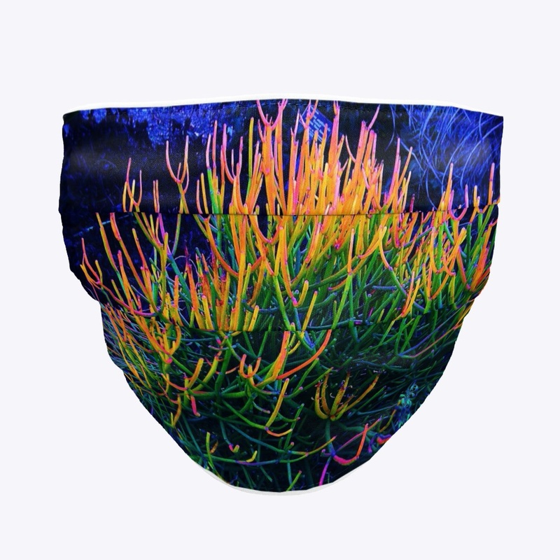 Rainbow Succulent 