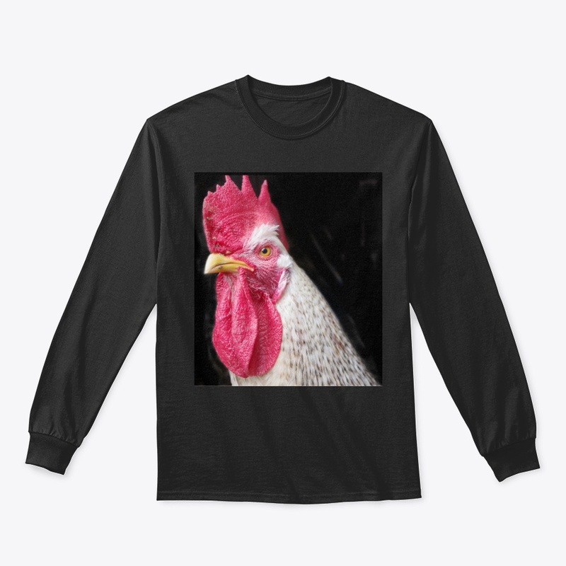 rooster chicken farm animal