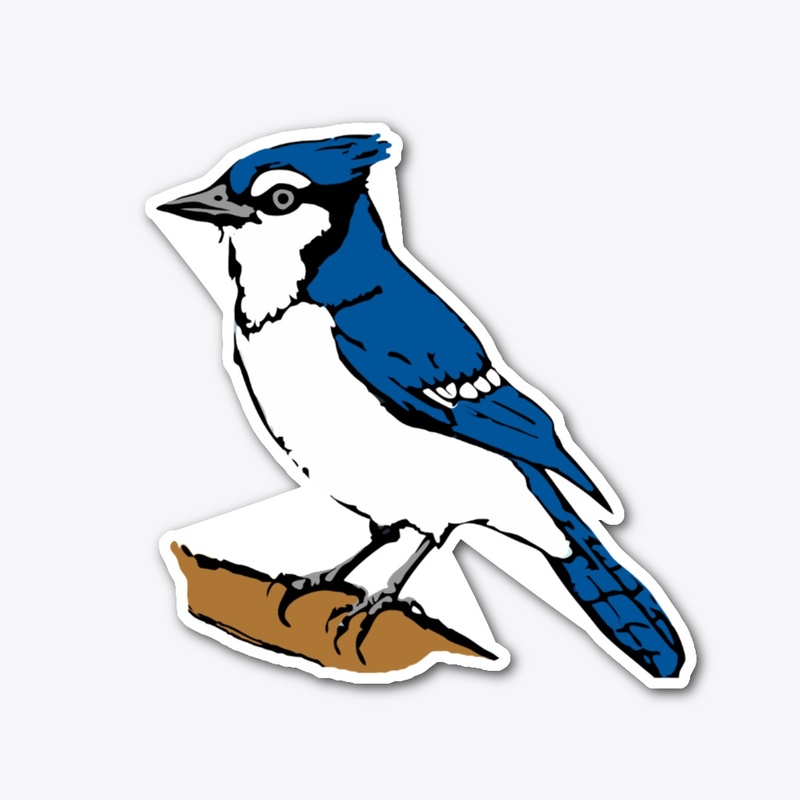 Blue Jay bird on a branch 