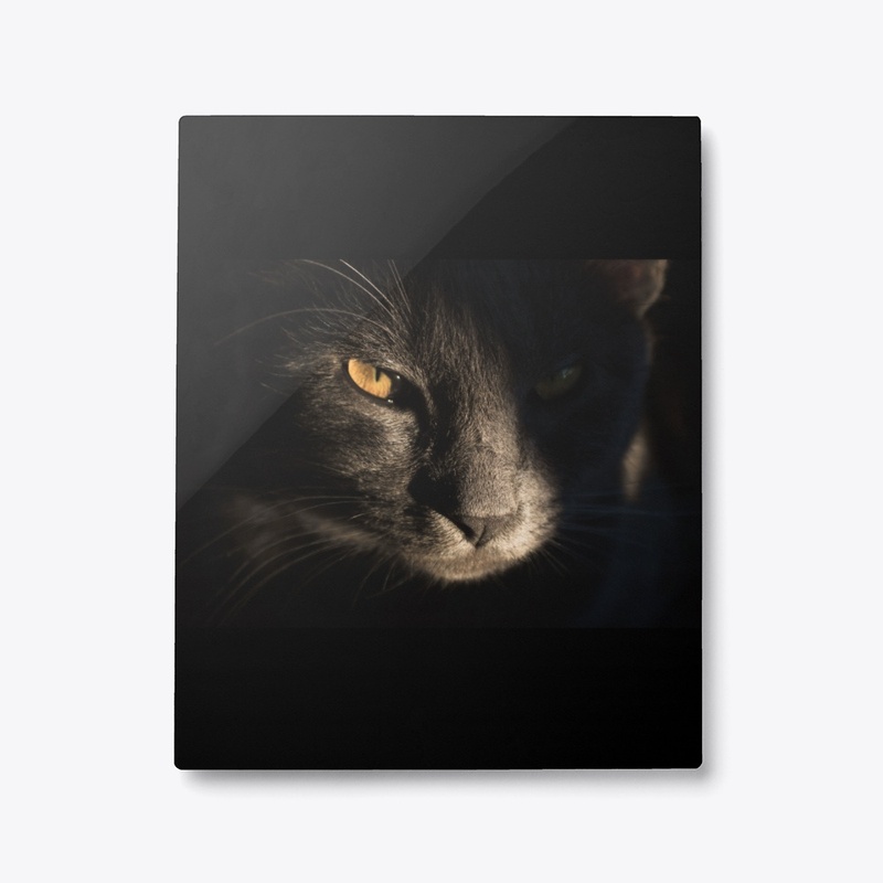 Black Cat