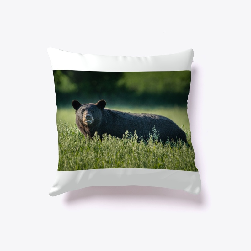 "Bruno" the black bear - pillow
