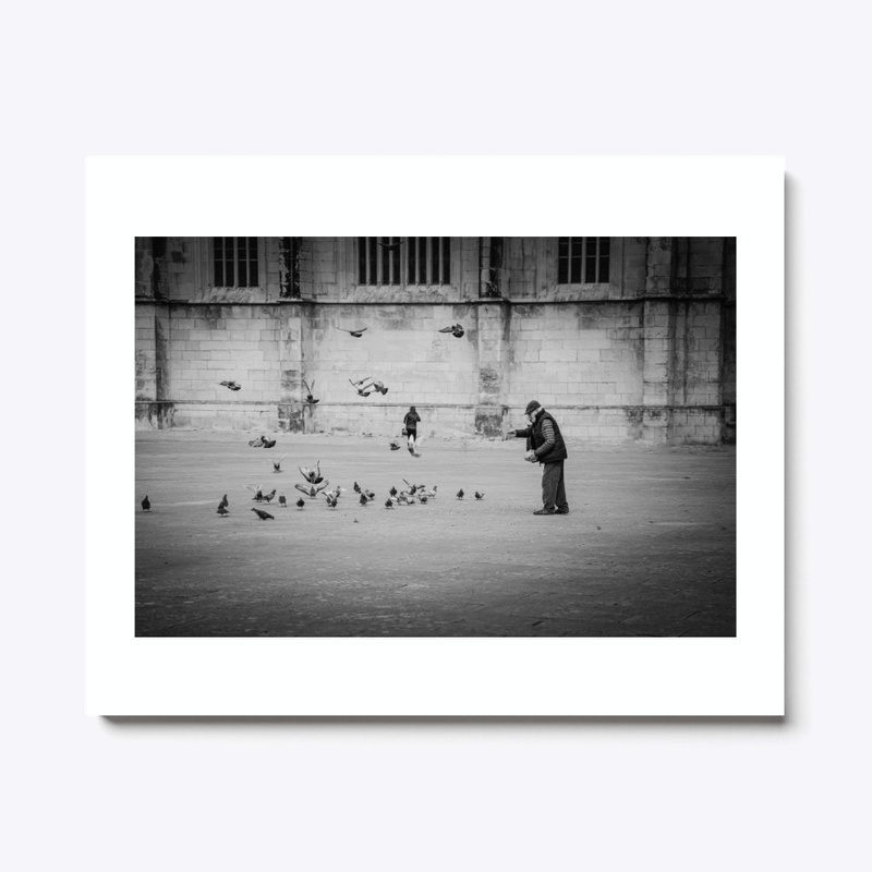 Feeding the pigeons