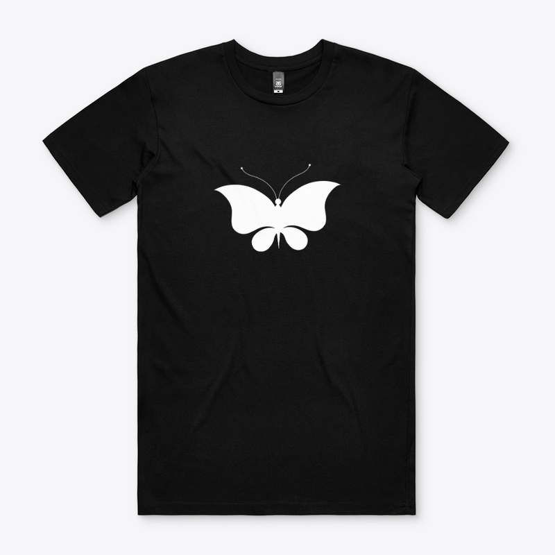 fly in the sky