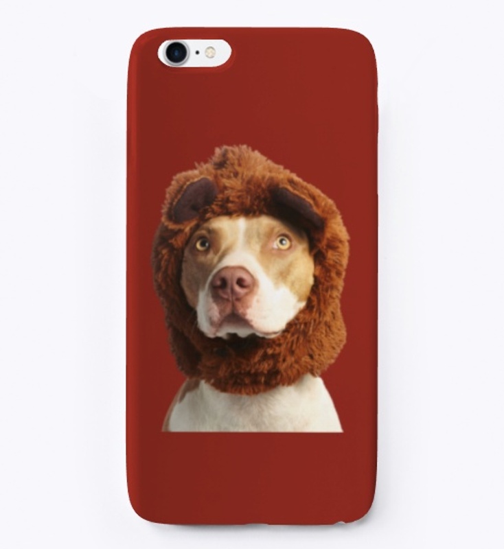 Pitbull australien