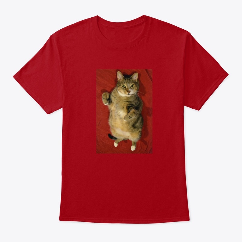 Peter Caine Cat training 