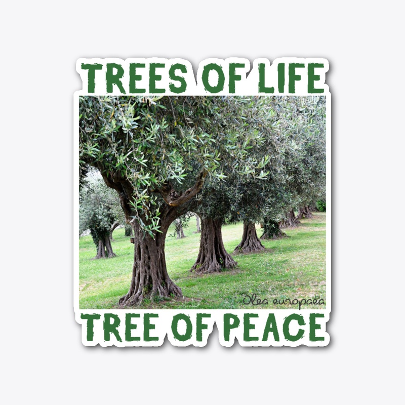 TREES of LIFE : OLIVE/PEACE