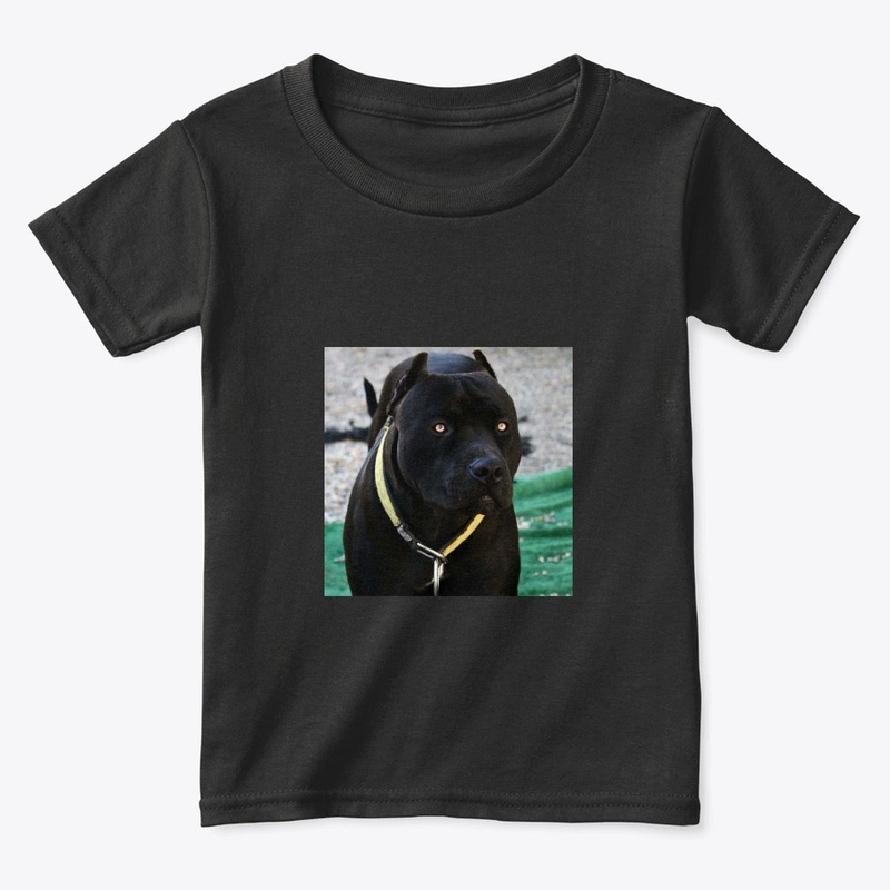 Pitbulls Black