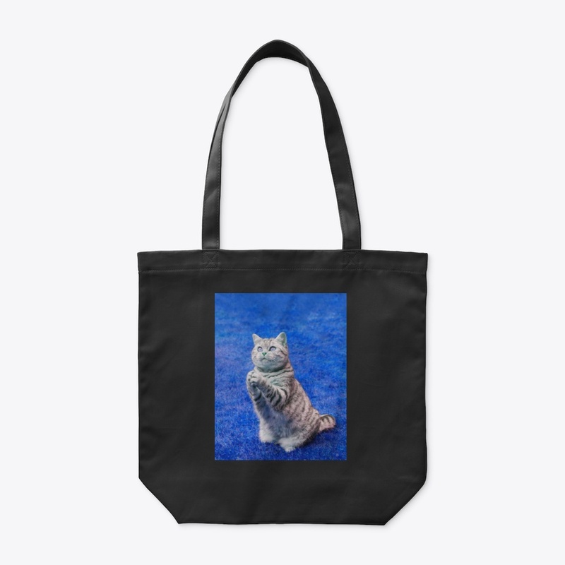 Blue Praying Cat