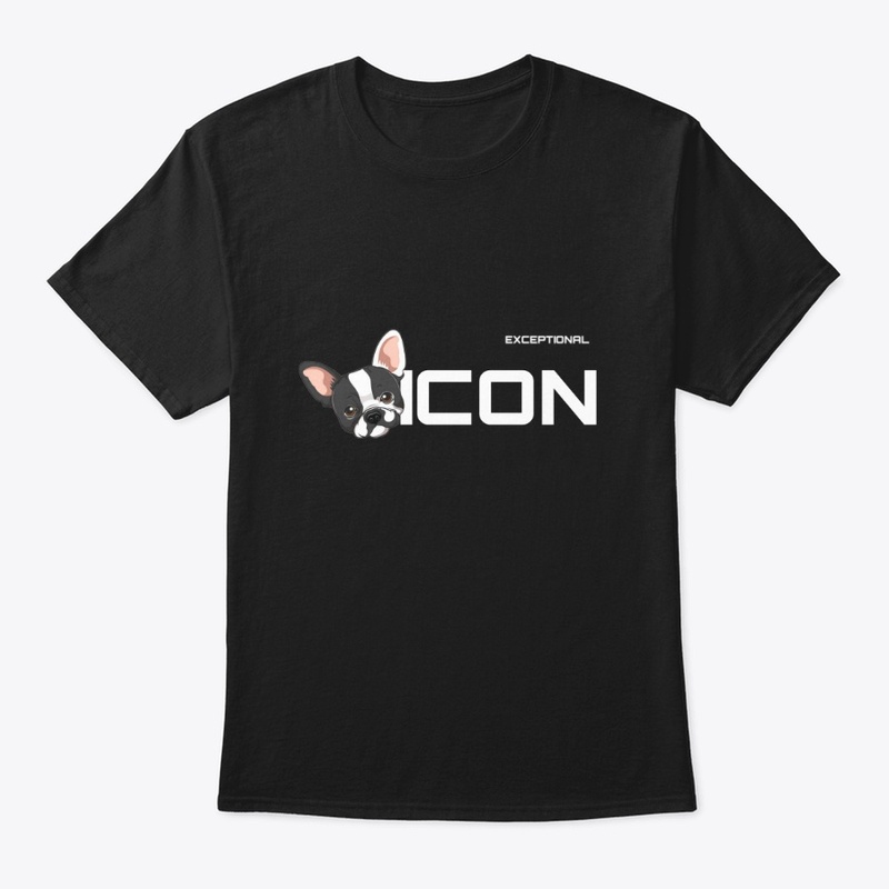 ICON t-shirt summer winter 