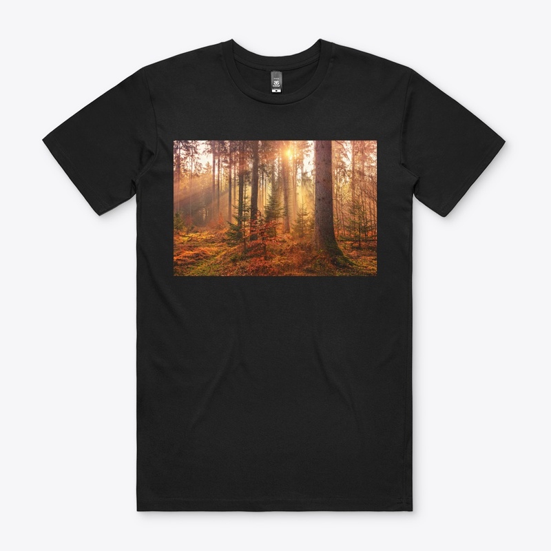 Value12 Sunshine in the forest