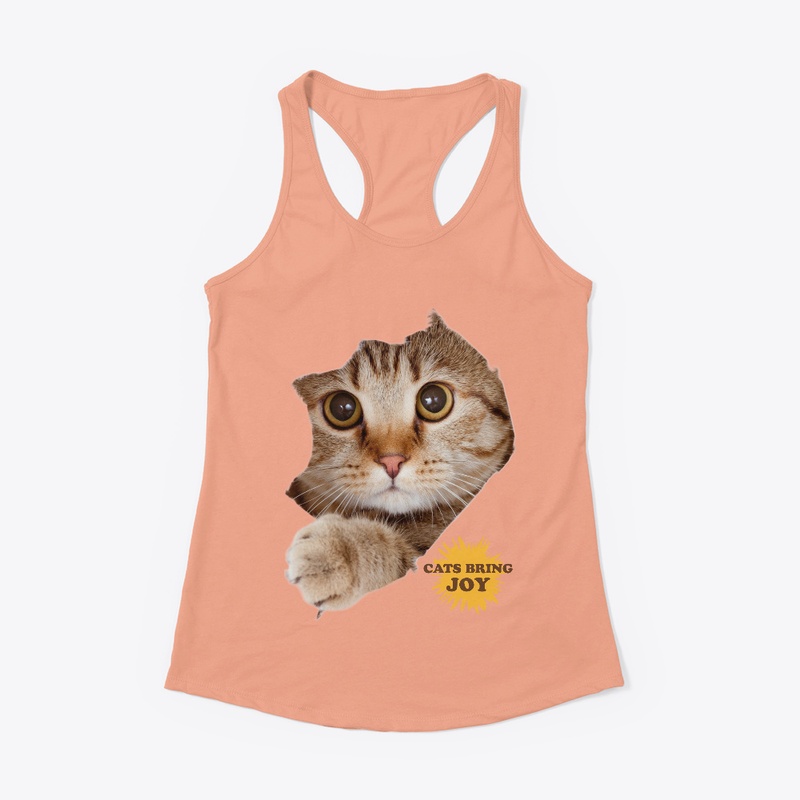 Beautiful Cat Design 2023