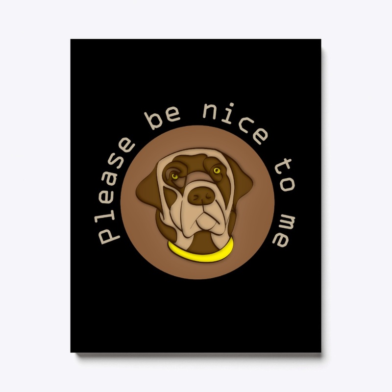 Please be nice to me