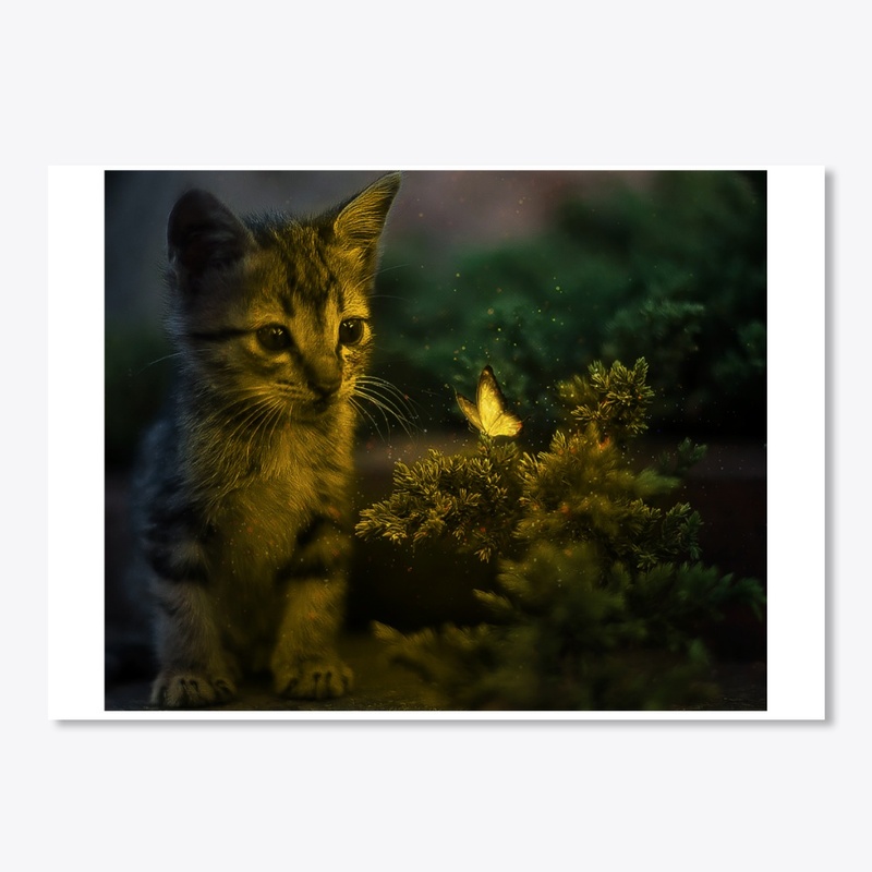 Cute cat