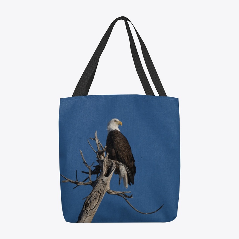 Eagle on the Moon