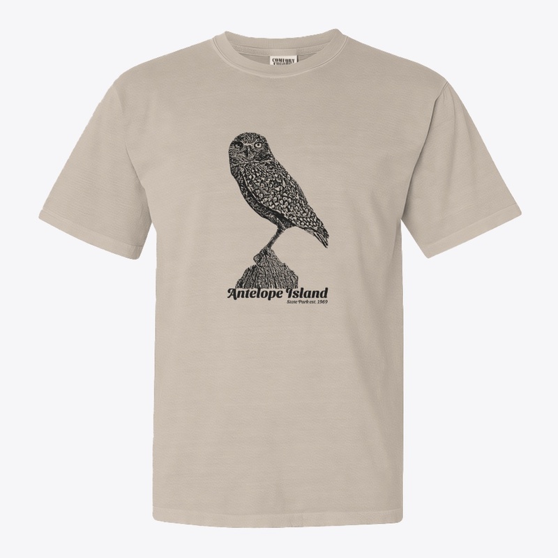 Antelope Island Burrowing Owl