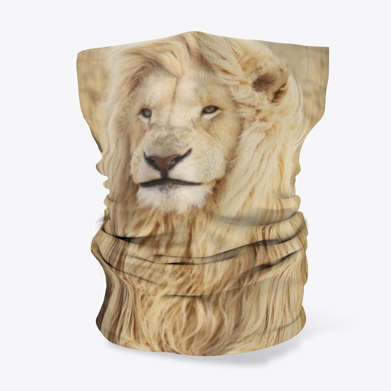 Muzzle of a lion