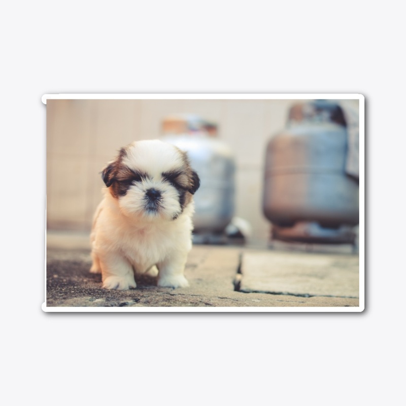 Cudly Dog