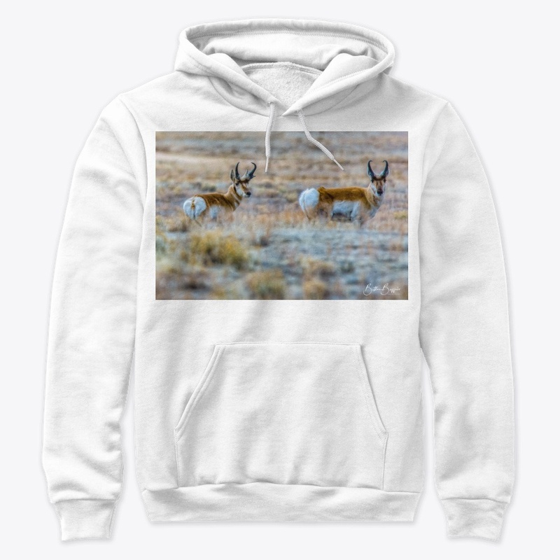 Pronghorn 