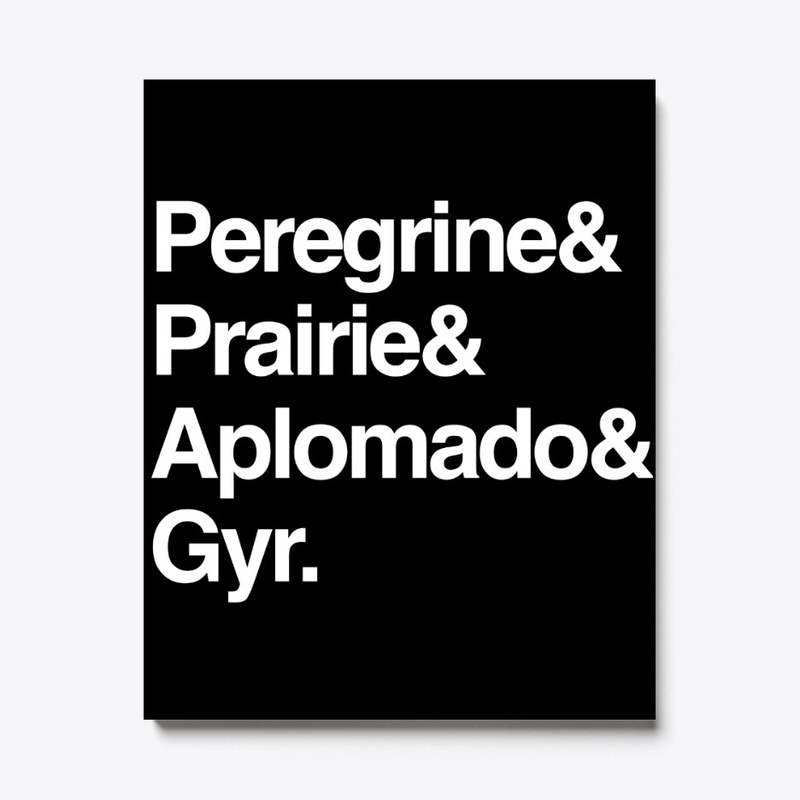 Falcons Helvetica List