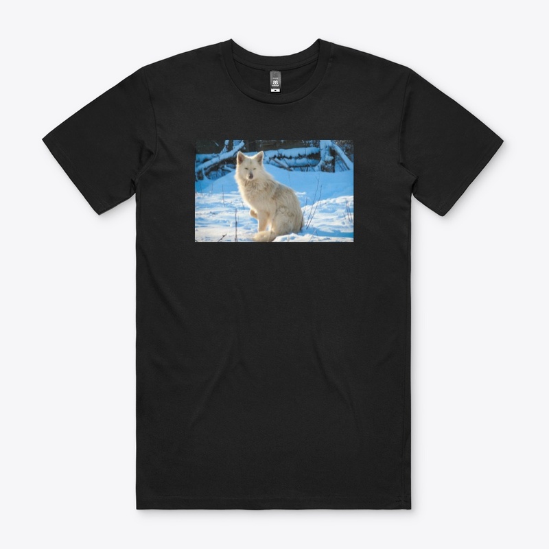 wolf