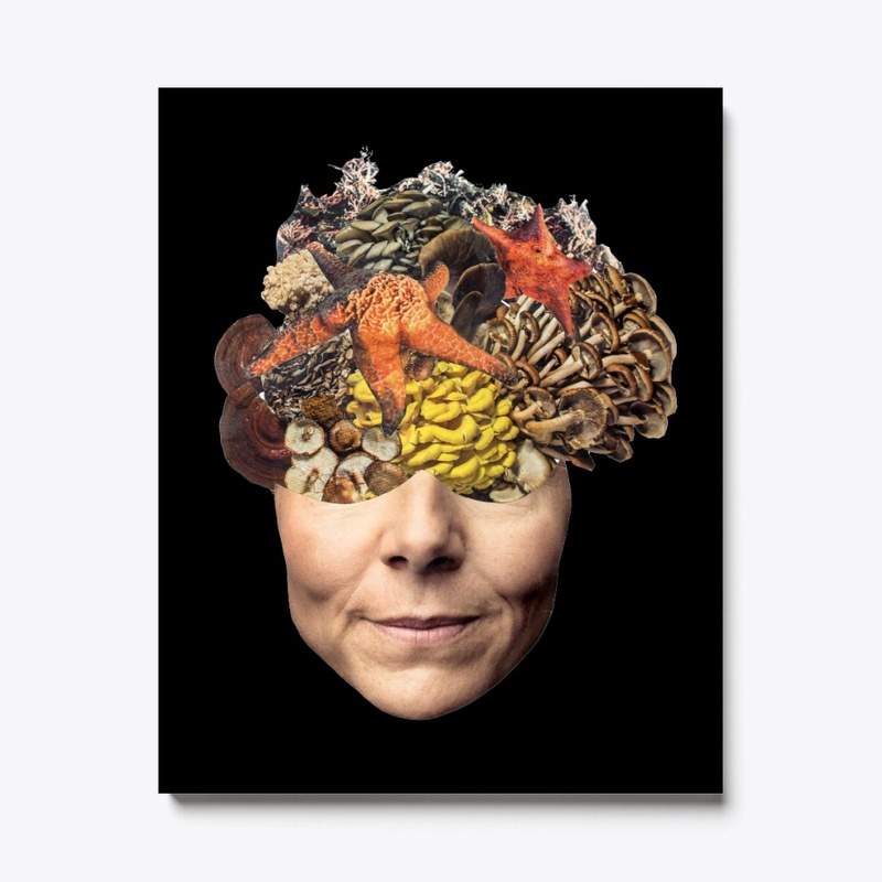 Your Brain On Mushrooms