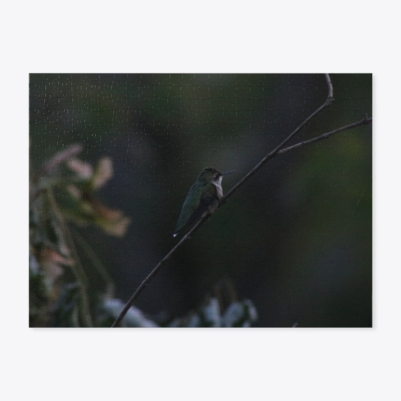 Hummingbird 2