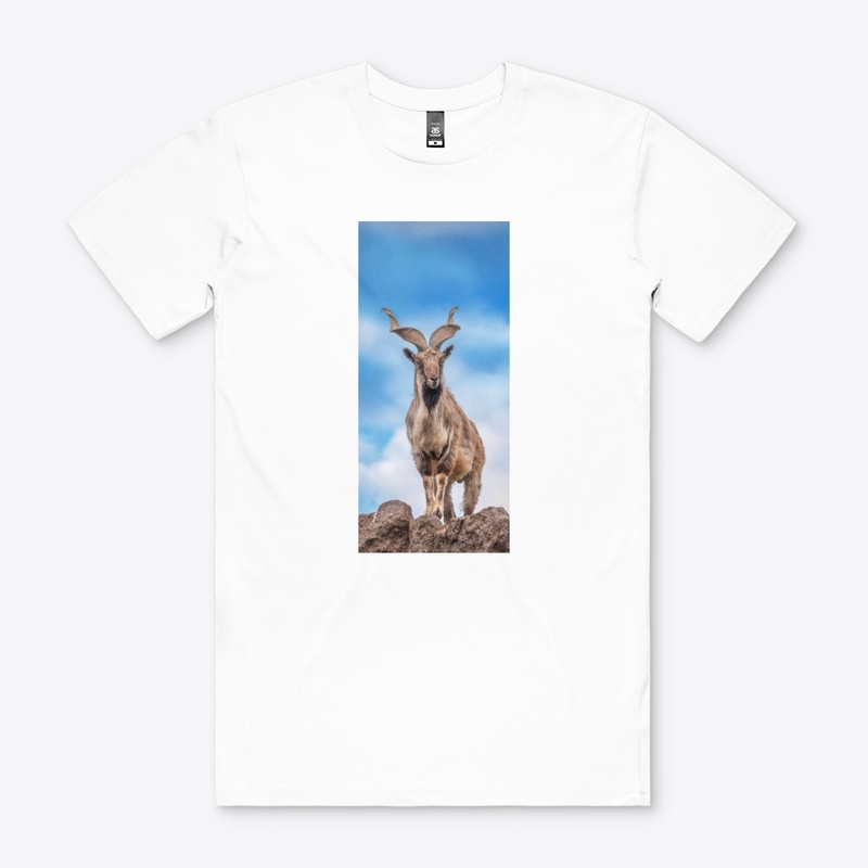 Markhor design 