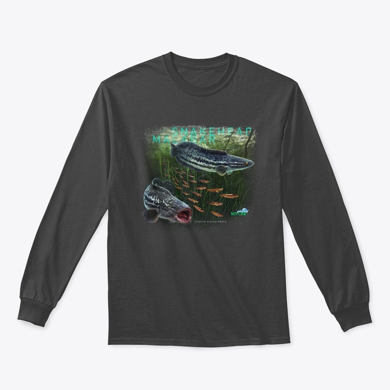 Malabar Snakehead