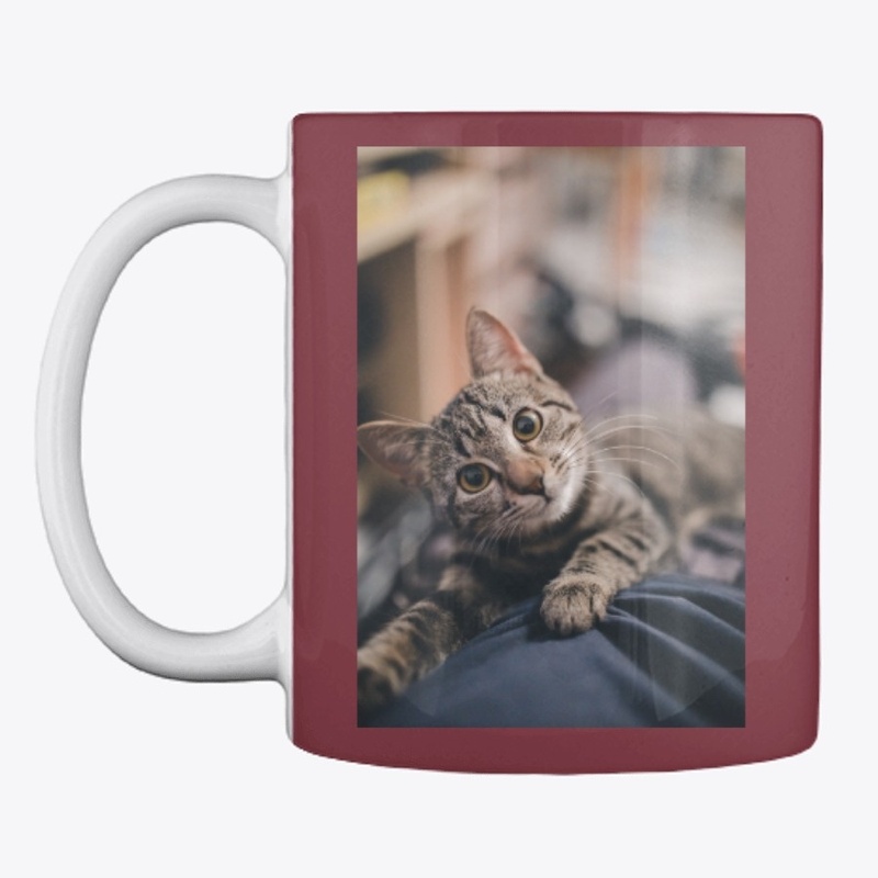 Cat mug