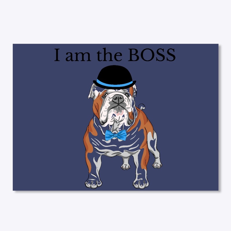 English Buldoog - Boss