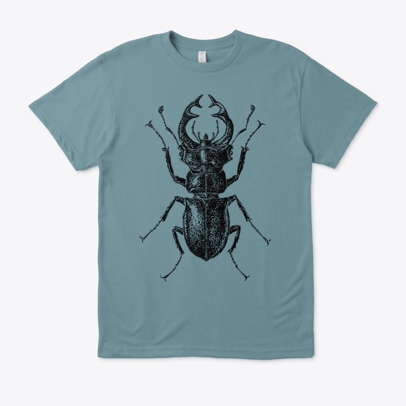 Lucanus Cervus, black insect