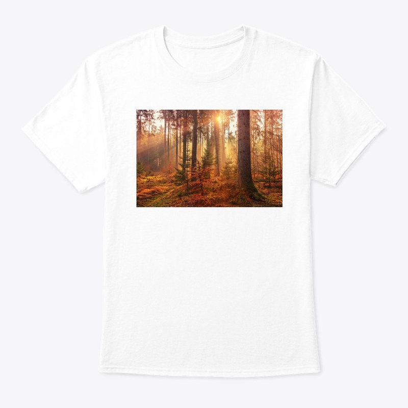 Value12 Sunshine in the forest