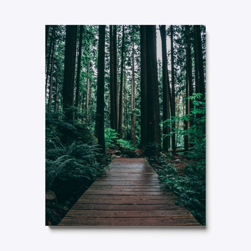 Brown pathway in the forest