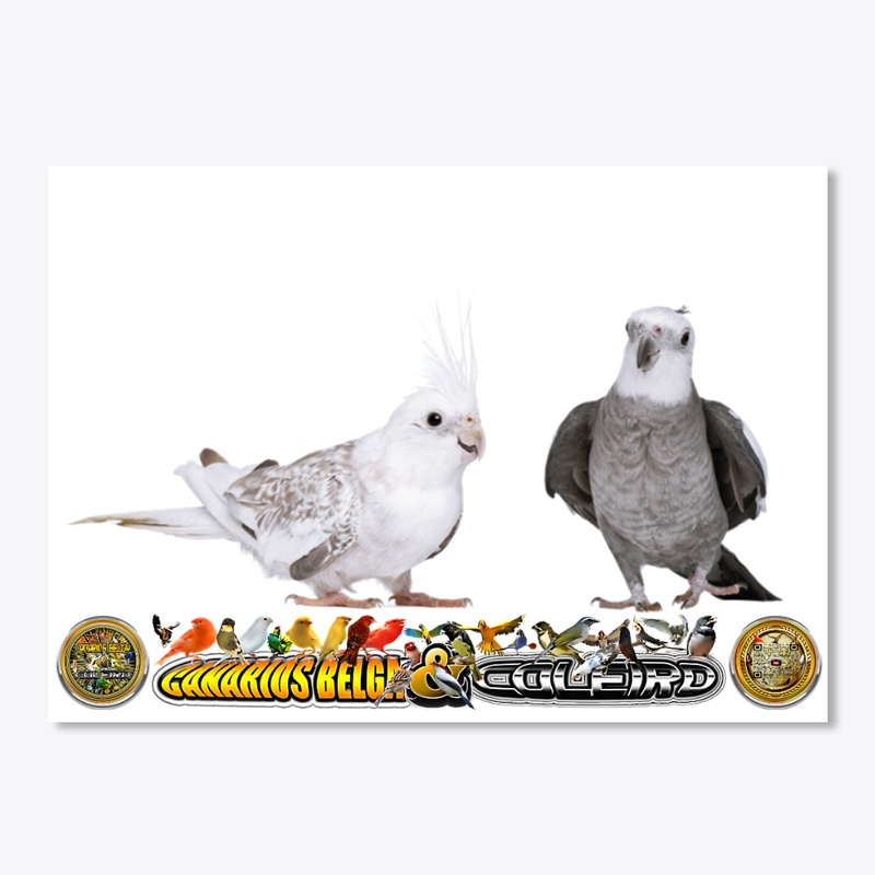 I love being a cockatiel bird breeder