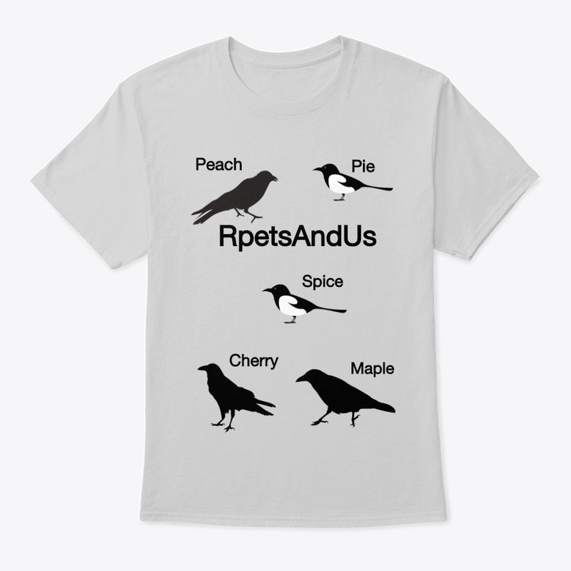  Corvids design birds crows magpies
