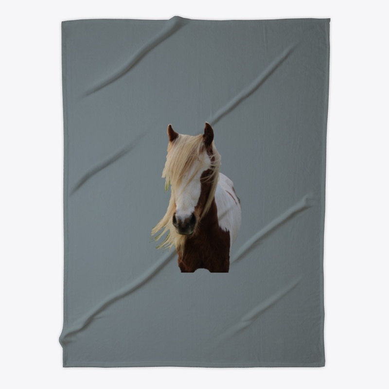 Raisin the Skewbald Pony