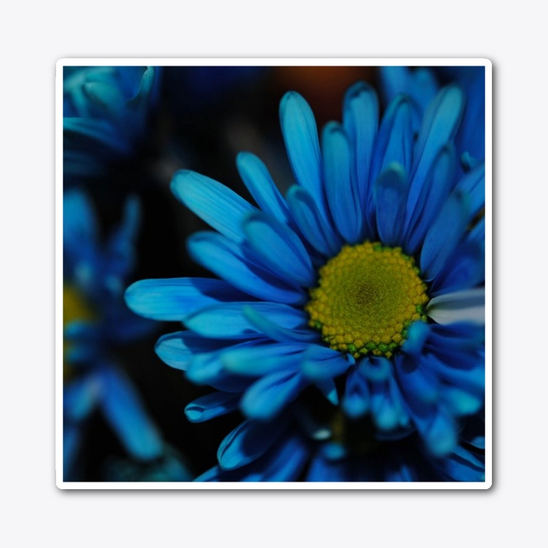 Blue Daisy
