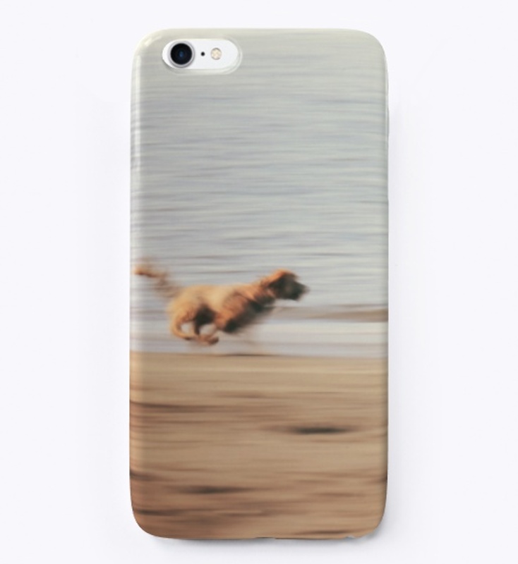 Dog running on beach