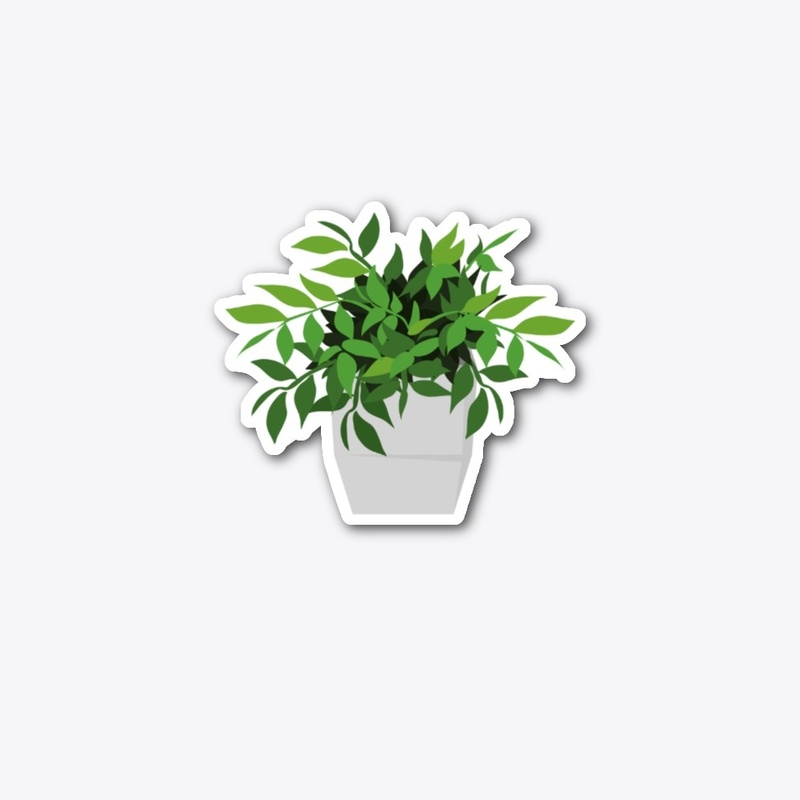 Casual Houseplant 