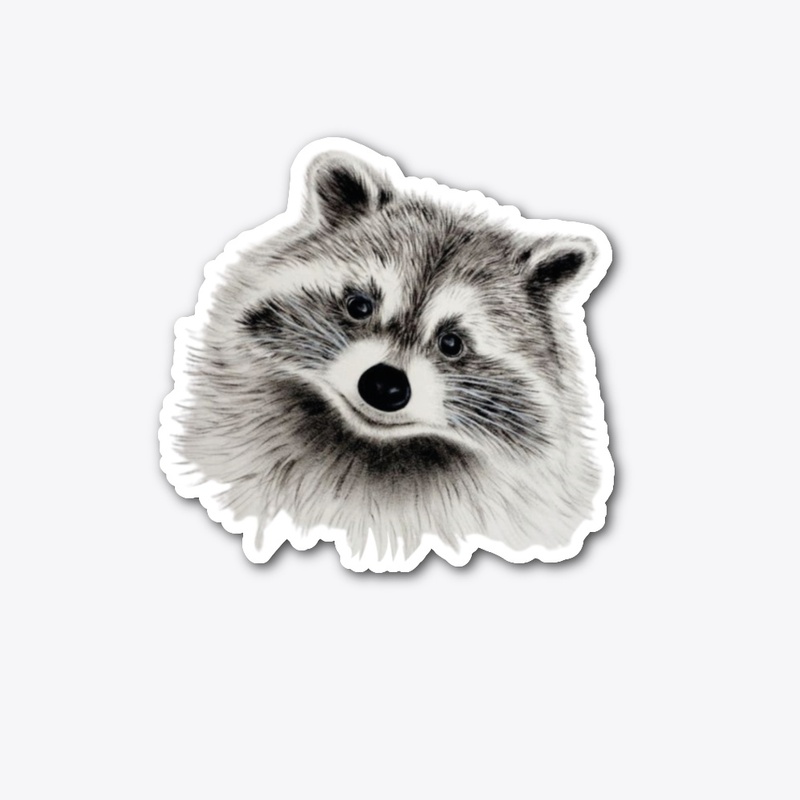Smiling Raccoon