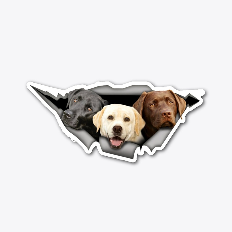 Lab sticker