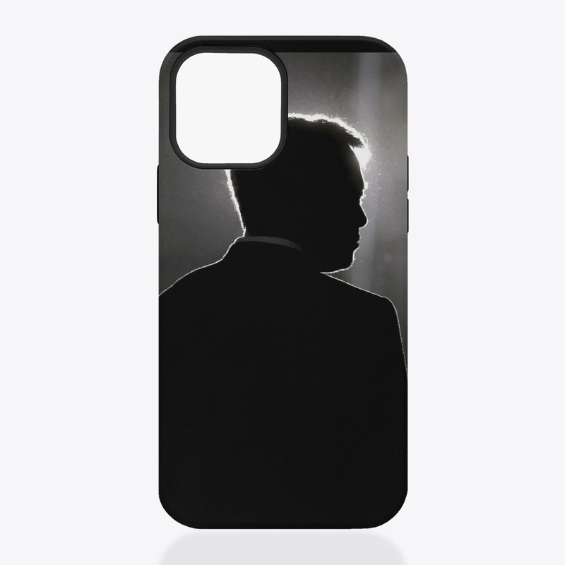 THE STYLISH ONE