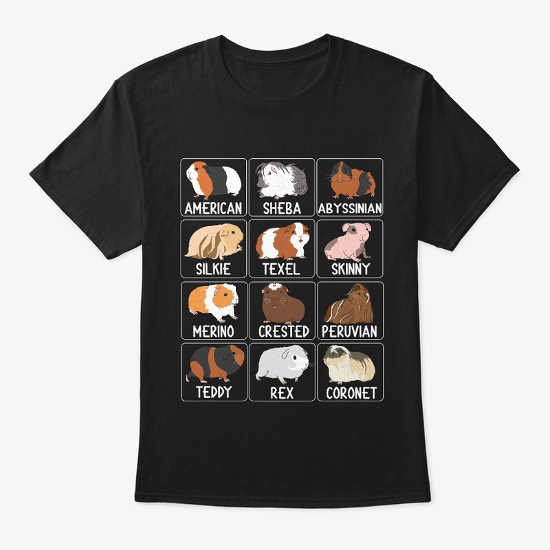 Types of Guinea Pigs